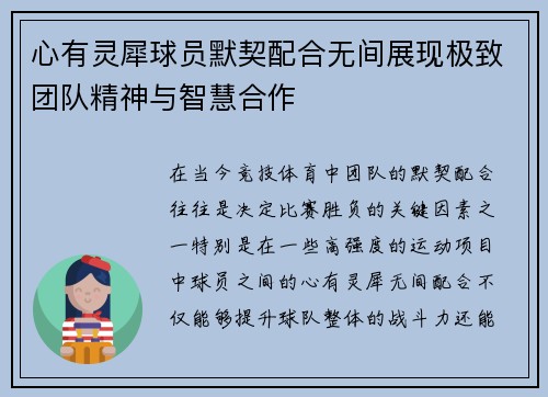 心有灵犀球员默契配合无间展现极致团队精神与智慧合作